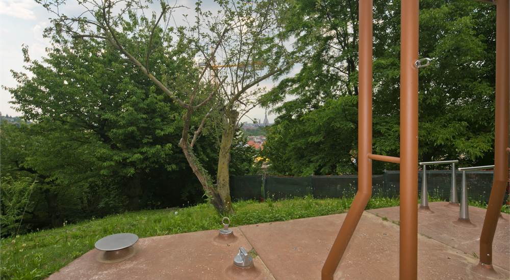 Photo 41